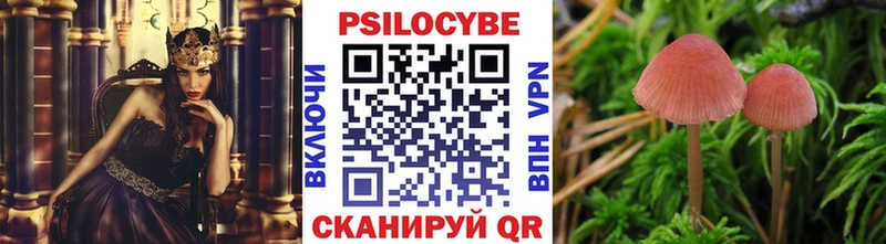 Купить где  Анадырь  Псилоцибиновые грибы GOLDEN TEACHER 